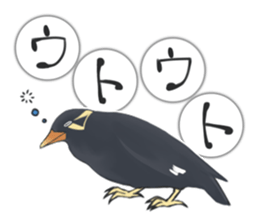 bird kanchan sticker #7441367
