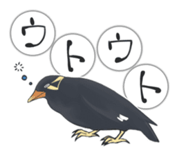 bird kanchan sticker #7441367