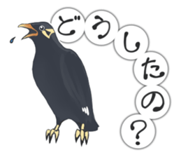 bird kanchan sticker #7441368