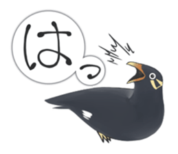 bird kanchan sticker #7441370
