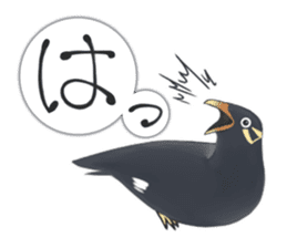 bird kanchan sticker #7441370