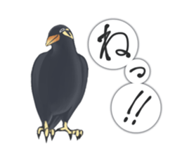 bird kanchan sticker #7441371