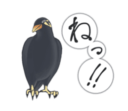 bird kanchan sticker #7441371