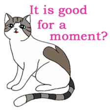 Myaako of the heart cat ver.3 English sticker #7445148