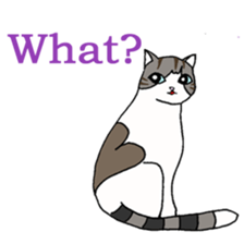 Myaako of the heart cat ver.3 English sticker #7445149