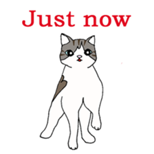 Myaako of the heart cat ver.3 English sticker #7445162