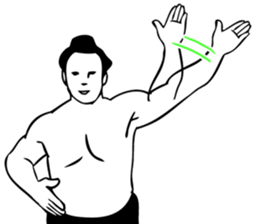 SUMO Sticker! sticker #7446963