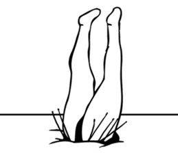 SUMO Sticker! sticker #7446964