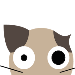 Scottish Fold "Millet"