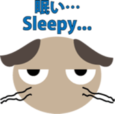 Scottish Fold "Millet" sticker #7447791