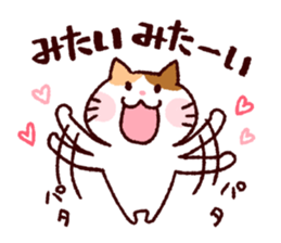 Girls and camera sticker #7448511