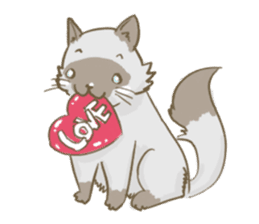 Cookie the cat sticker #7448532