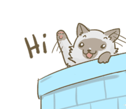 Cookie the cat sticker #7448533