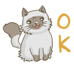 Cookie the cat sticker #7448534