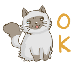 Cookie the cat sticker #7448534