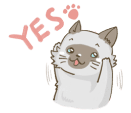 Cookie the cat sticker #7448535