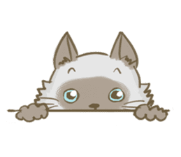 Cookie the cat sticker #7448537