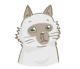 Cookie the cat sticker #7448538