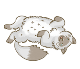 Cookie the cat sticker #7448542