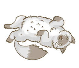 Cookie the cat sticker #7448542
