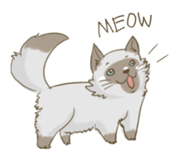 Cookie the cat sticker #7448543