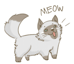 Cookie the cat sticker #7448543