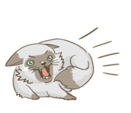 Cookie the cat sticker #7448544