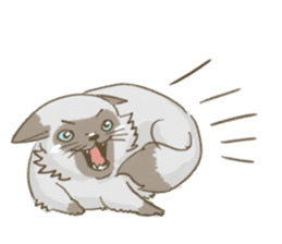 Cookie the cat sticker #7448544