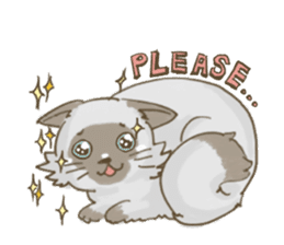 Cookie the cat sticker #7448545