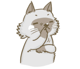 Cookie the cat sticker #7448546