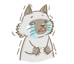 Cookie the cat sticker #7448548