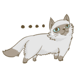 Cookie the cat sticker #7448549