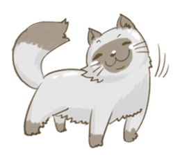 Cookie the cat sticker #7448550