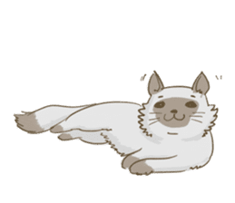 Cookie the cat sticker #7448551