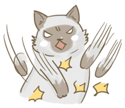 Cookie the cat sticker #7448556