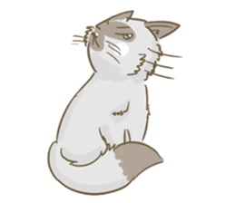Cookie the cat sticker #7448557