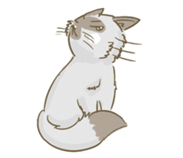 Cookie the cat sticker #7448557