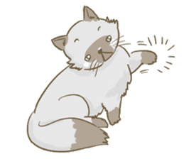 Cookie the cat sticker #7448558