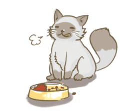Cookie the cat sticker #7448560