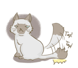Cookie the cat sticker #7448561