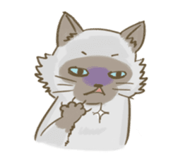 Cookie the cat sticker #7448566