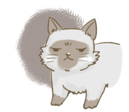 Cookie the cat sticker #7448568