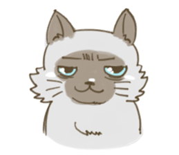 Cookie the cat sticker #7448569