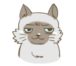 Cookie the cat sticker #7448569