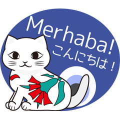 Turkey-made Cat Figurine