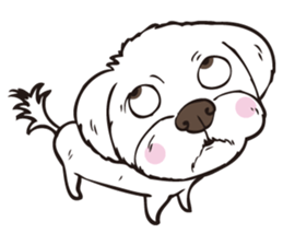 0.5mm Maltese sticker #7453106