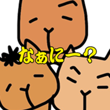 DON-kun&CAPYBARA-chan Ver.free sticker #7456025