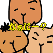 DON-kun&CAPYBARA-chan Ver.free sticker #7456025
