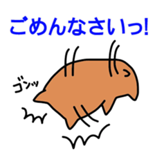 DON-kun&CAPYBARA-chan Ver.free sticker #7456033