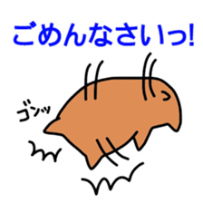 DON-kun&CAPYBARA-chan Ver.free sticker #7456033